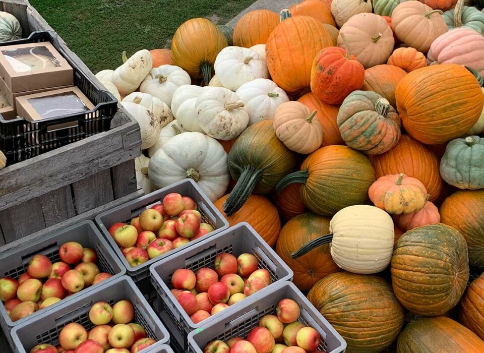 Three Farms to Visit in the Hamptons