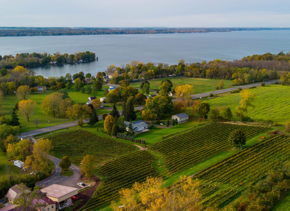Finger Lakes wine tasting