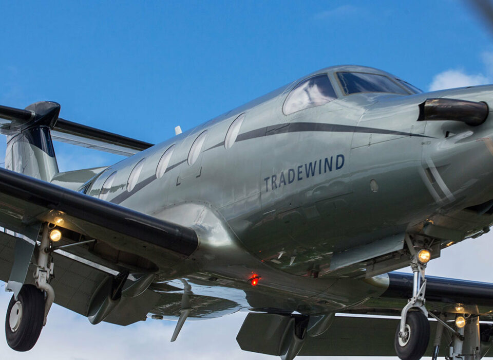 Working from Anywhere