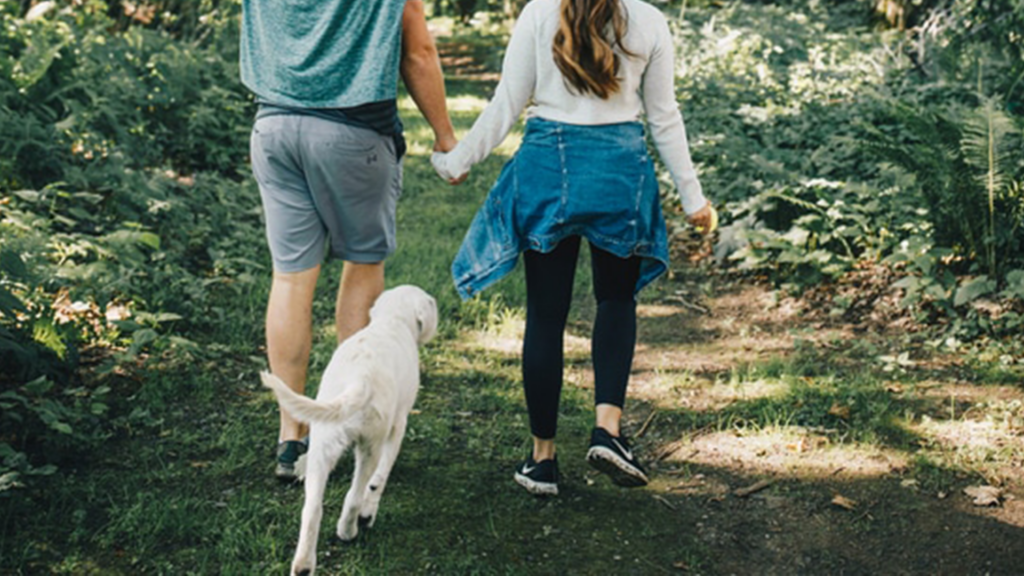A couple walking their pet in the woods of Vermont at a top resort that allows dogs