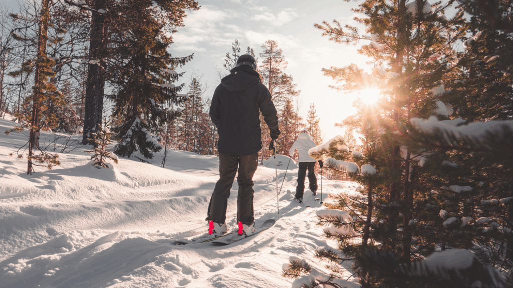 Two skiers on the snow in between evergreen trees